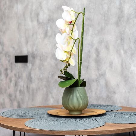 Apartamento Noguera Loft "B" 阿利坎特 外观 照片